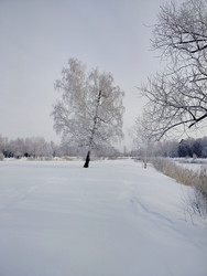 Similar image 22621530