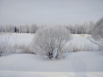 Similar image 22621531