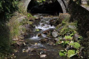 Similar image 22621084