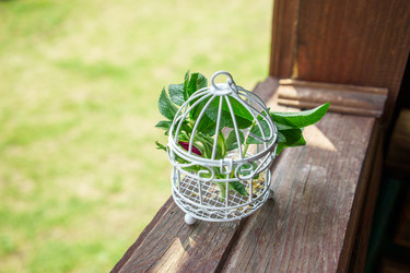 Similar image 22618489