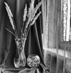 Similar image 22618184