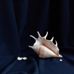 Similar image 22618185