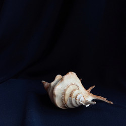 Similar image 22618186