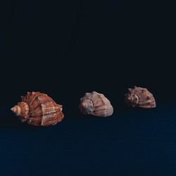 Similar image 22618188