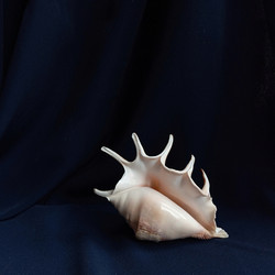 Similar image 22618189