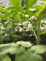 Similar image 22621179