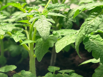 Similar image 22621180