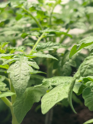 Similar image 22618190