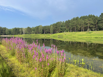 Similar image 22618166