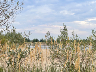 Similar image 22618167