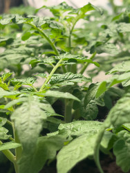 Similar image 22618213