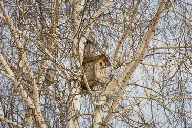 Similar image 22618287