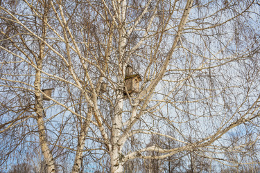 Similar image 22618291