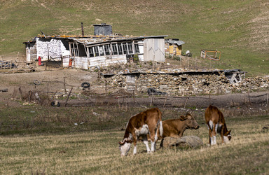 Similar image 22618655