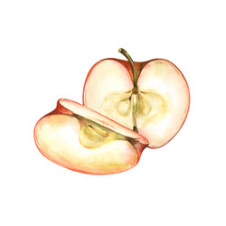 Similar image 22619694