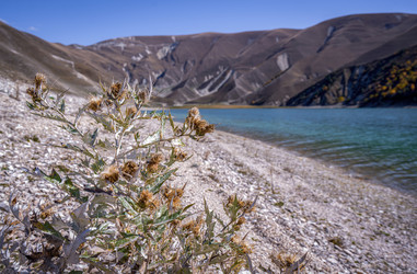 Similar image 22618674