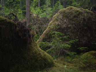 Similar image 22624566