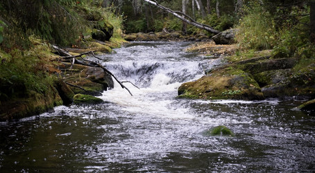 Similar image 22624568