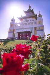 Similar image 22618703