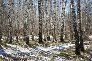 Similar image 22618307