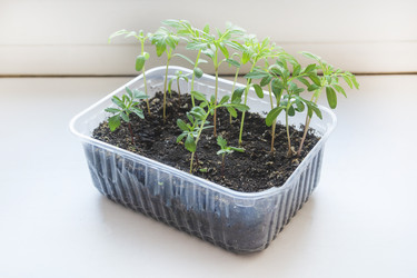 Similar image 22618308