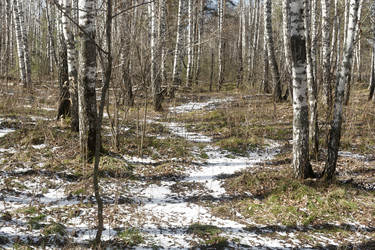 Similar image 22618309