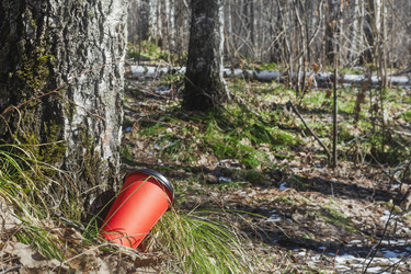 Similar image 22618318