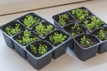 Similar image 22618319