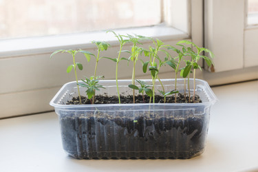 Similar image 22618321