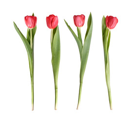 Similar image 22619007