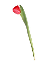 Similar image 22619008