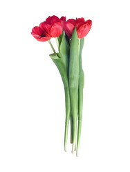 Similar image 22619009