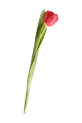 Similar image 22619010