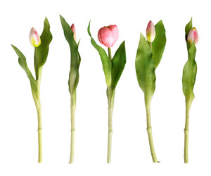 Similar image 22619011