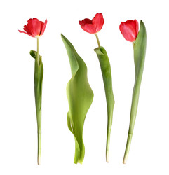 Similar image 22619019