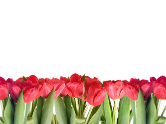 Similar image 22619020