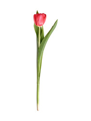 Similar image 22619022