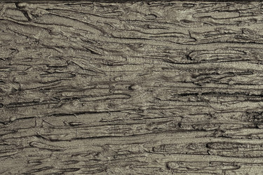 Similar image 22619101