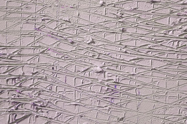 Similar image 22619124