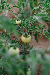 Similar image 22618594