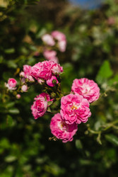 Similar image 22618599