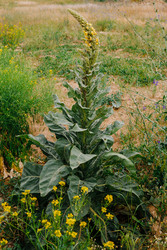 Similar image 22618600