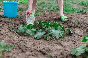 Similar image 22618601