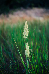 Similar image 22618604