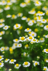 Similar image 22618606