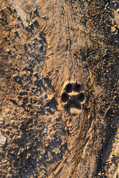 Similar image 22618623