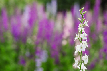 Similar image 22618624