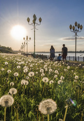 Similar image 22618713