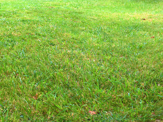 Similar image 22623202