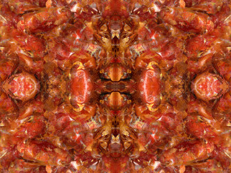 Similar image 22623204